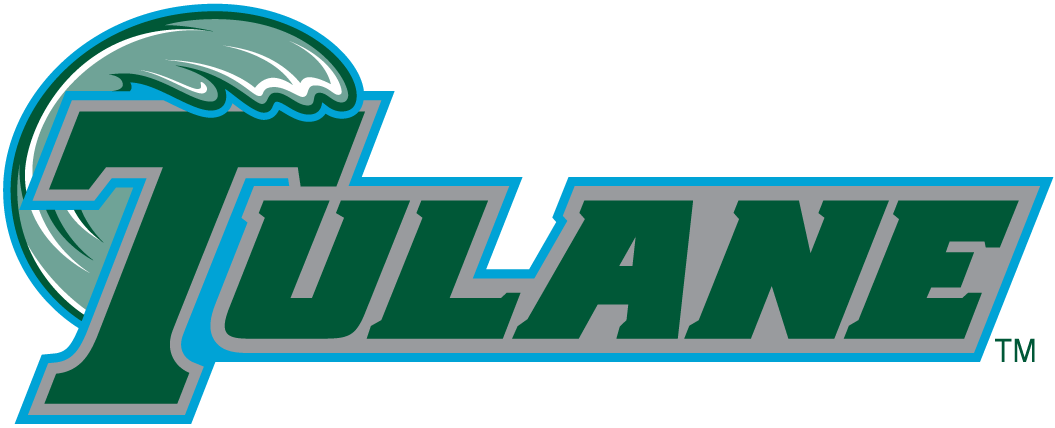 Tulane Green Wave 1998-Pres Wordmark Logo v8 diy DTF decal sticker